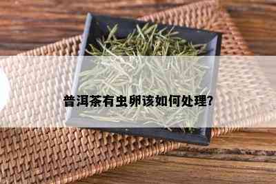 普洱茶有虫卵该如何处理？