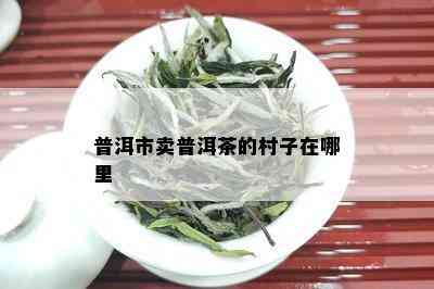 普洱市卖普洱茶的村子在哪里