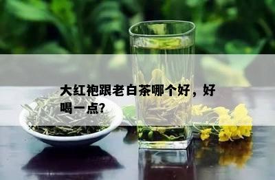 大红袍跟老白茶哪个好，好喝一点？