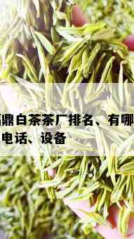 福鼎白茶茶厂排名、有哪些、电话、设备