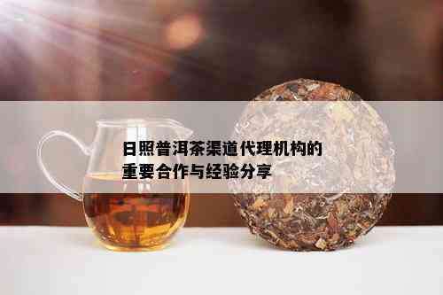 日照普洱茶渠道代理机构的重要合作与经验分享