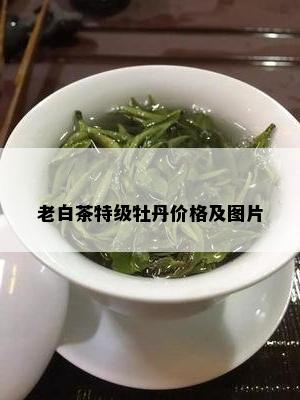 老白茶特级牡丹价格及图片