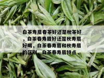 白茶寿眉春茶好还是秋茶好，白茶春寿眉好还是秋寿眉好喝，白茶春寿眉和秋寿眉的区别，白茶春寿眉特点