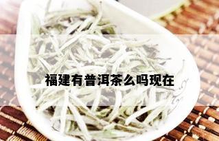 福建有普洱茶么吗现在