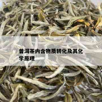 普洱茶内含物质转化及其化学原理