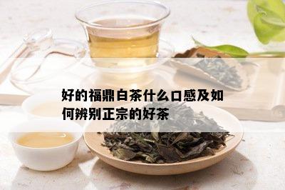 好的福鼎白茶什么口感及如何辨别正宗的好茶