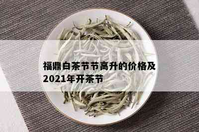 福鼎白茶节节高升的价格及2021年开茶节