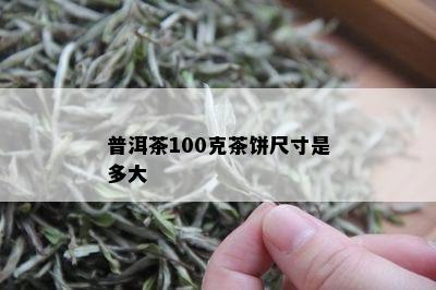 普洱茶100克茶饼尺寸是多大