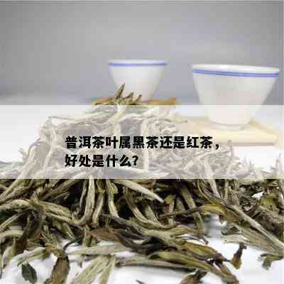 普洱茶叶属黑茶还是红茶，好处是什么？