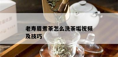 老寿眉煮茶怎么洗茶垢视频及技巧