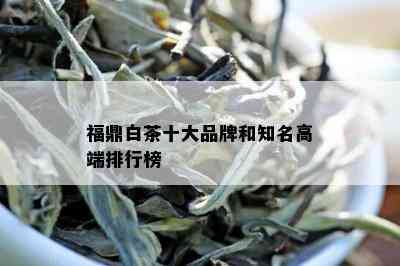 福鼎白茶十大品牌和知名高端排行榜