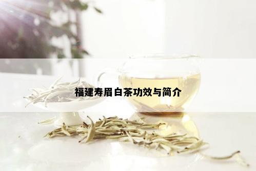 福建寿眉白茶功效与简介