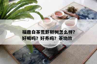 福鼎白茶荒野掰树怎么样？好喝吗？好养吗？茶功效