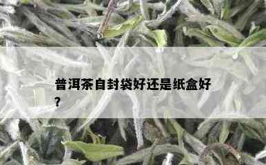 普洱茶自封袋好还是纸盒好？