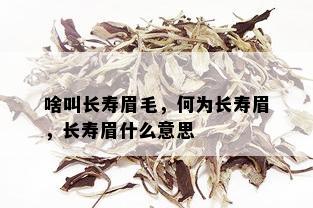 啥叫长寿眉毛，何为长寿眉，长寿眉什么意思