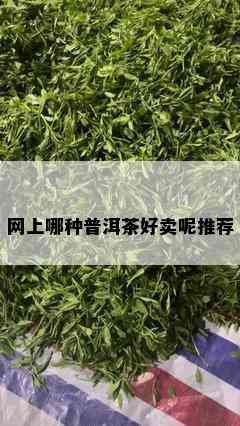 网上哪种普洱茶好卖呢推荐