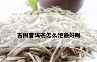 古树普洱茶怎么泡更好喝