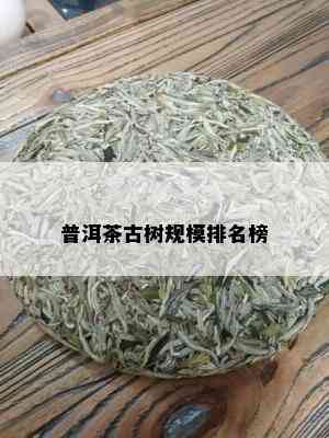 普洱茶古树规模排名榜