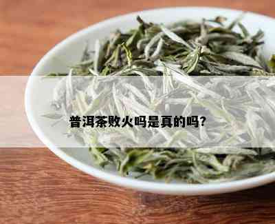 普洱茶败火吗是真的吗?