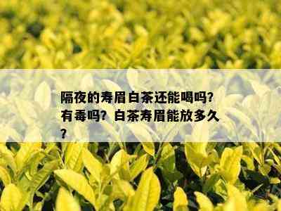 隔夜的寿眉白茶还能喝吗？有吗？白茶寿眉能放多久？