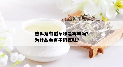 普洱茶有稻草味是霉味吗？为什么会有干稻草味？