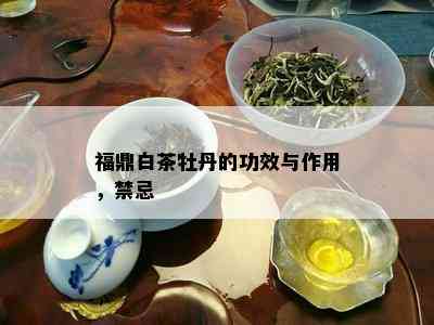 福鼎白茶牡丹的功效与作用，禁忌