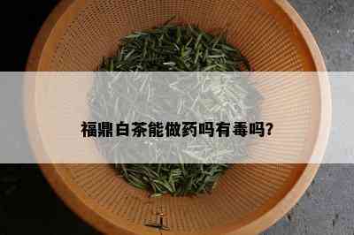 福鼎白茶能做药吗有吗？