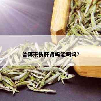 普洱茶伤肝肾吗能喝吗？