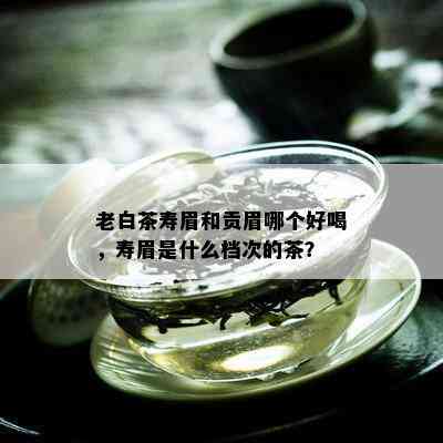 老白茶寿眉和贡眉哪个好喝，寿眉是什么档次的茶？