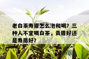 老白茶寿眉怎么泡和喝？三种人不宜喝白茶，贡眉好还是寿眉好？