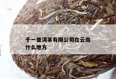 千一普洱茶有限公司在云南什么地方