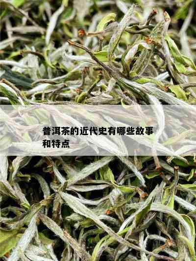 普洱茶的近代史有哪些故事和特点