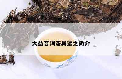 大益普洱茶吴远之简介