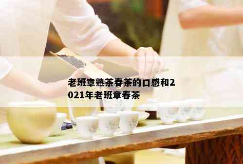 老班章熟茶春茶的口感和2021年老班章春茶