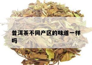 普洱茶不同产区的味道一样吗