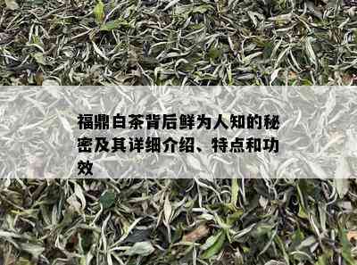 福鼎白茶背后鲜为人知的秘密及其详细介绍、特点和功效