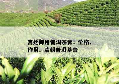 宫廷御用普洱茶膏：价格、作用、清朝普洱茶膏