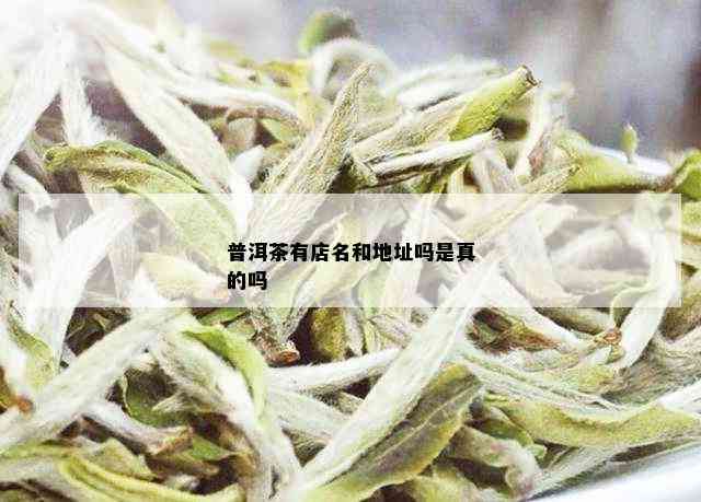 普洱茶有店名和地址吗是真的吗