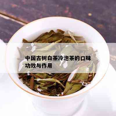 中国古树白茶冷泡茶的口味功效与作用