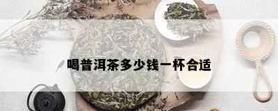 喝普洱茶多少钱一杯合适