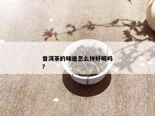 普洱茶的味道怎么样好喝吗？