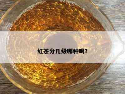 红茶分几级哪种喝？