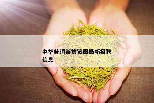 中华普洱茶博览园最新招聘信息