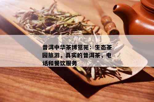 普洱中华茶博览苑：生态茶园旅游，真实的普洱茶，电话和餐饮服务