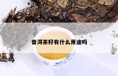 普洱茶籽有什么用途吗