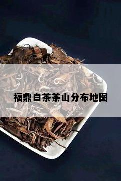 福鼎白茶茶山分布地图