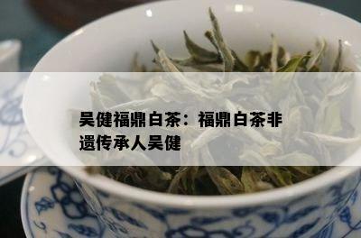 吴健福鼎白茶：福鼎白茶非遗传承人吴健