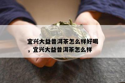 宜兴大益普洱茶怎么样好喝，宜兴大益普洱茶怎么样