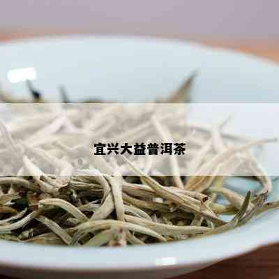 宜兴大益普洱茶