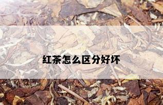 红茶怎么区分好坏